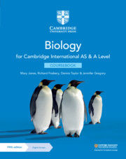 Cambridge Latin Course 2 Answers .mobi Ebook Download Rar Full