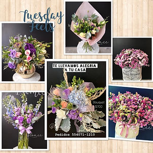 BLOMEE FLOWERS