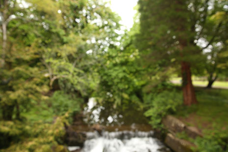 Seeing clearly, Roath park, 2024