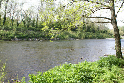 River Taff, 2023