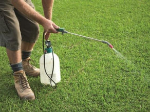 Embracing Natural Solutions for Weed-Free Gardens