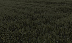 faded-overgrown-grass-background-picjumb