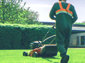 How Often Should You Be Mowing Your Lawns?
