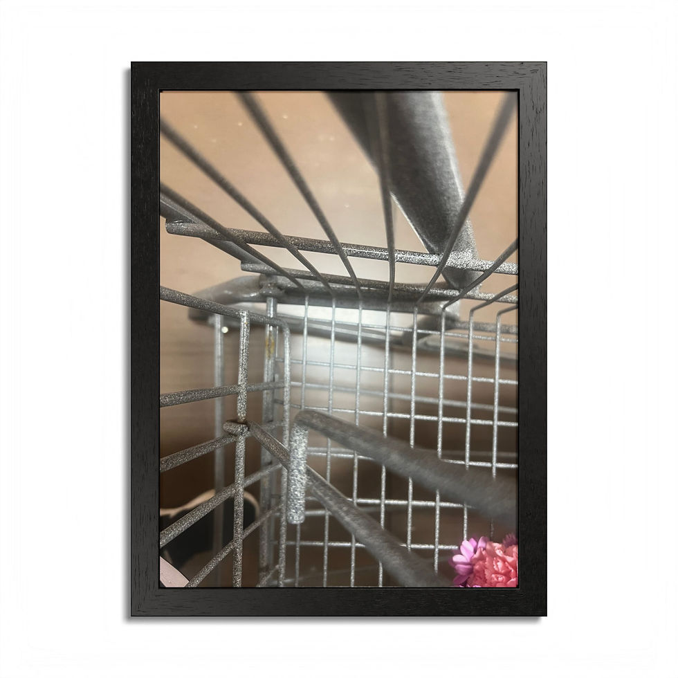 Thumbnail: Framed Poster Wall Art Unique Grocery Cart View Photography By A.D. Modern Home