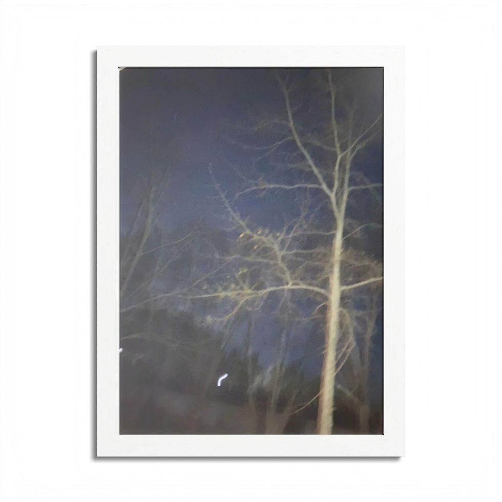 Thumbnail: Framed Poster Wall Art Moonlit Tree Photography By A.D. Night Sky Nature Print