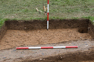 Wicor detail.gif