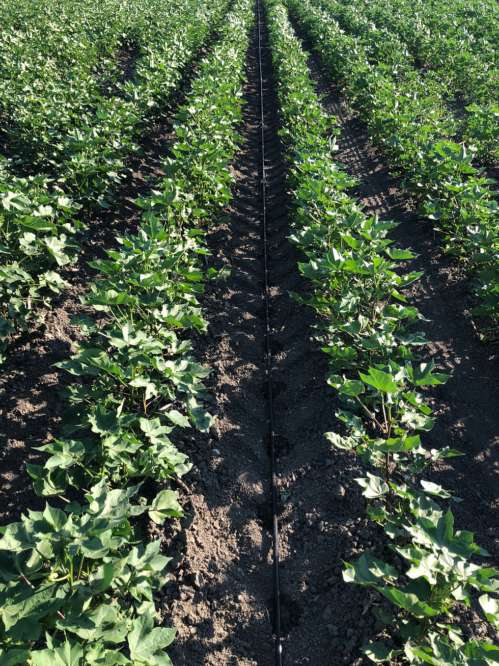 DAMLAMA SULAMA SİSTEMLERİ