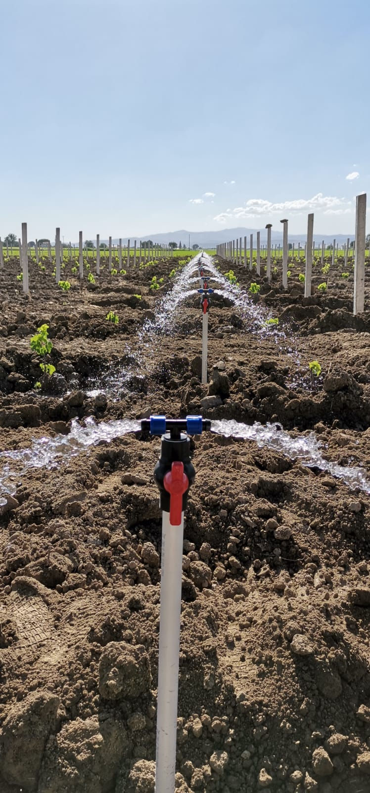 YAĞMURLAMA SULAMA SİSTEMLERİ