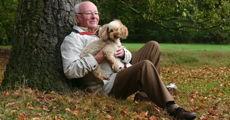 Ter um cachorro reduz risco de problemas cardíacos