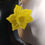 Thumbnail: Yellow Daffodils
