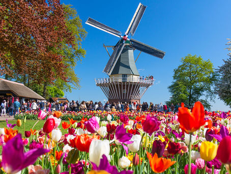 Tulip River Cruise Timing: Netherlands & Belgium Guide