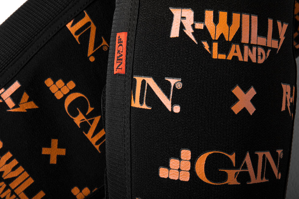 Thumbnail: GAIN x R WILLY LAND "Progression" Knee/Shin Combo Pads