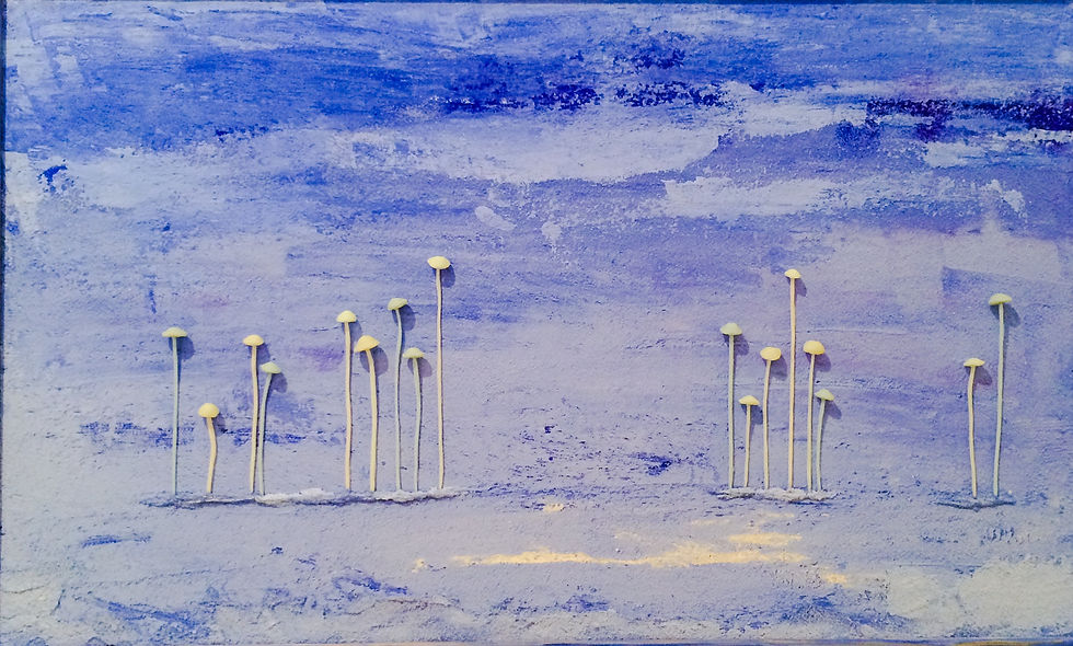 Kinoko Mushroom Art