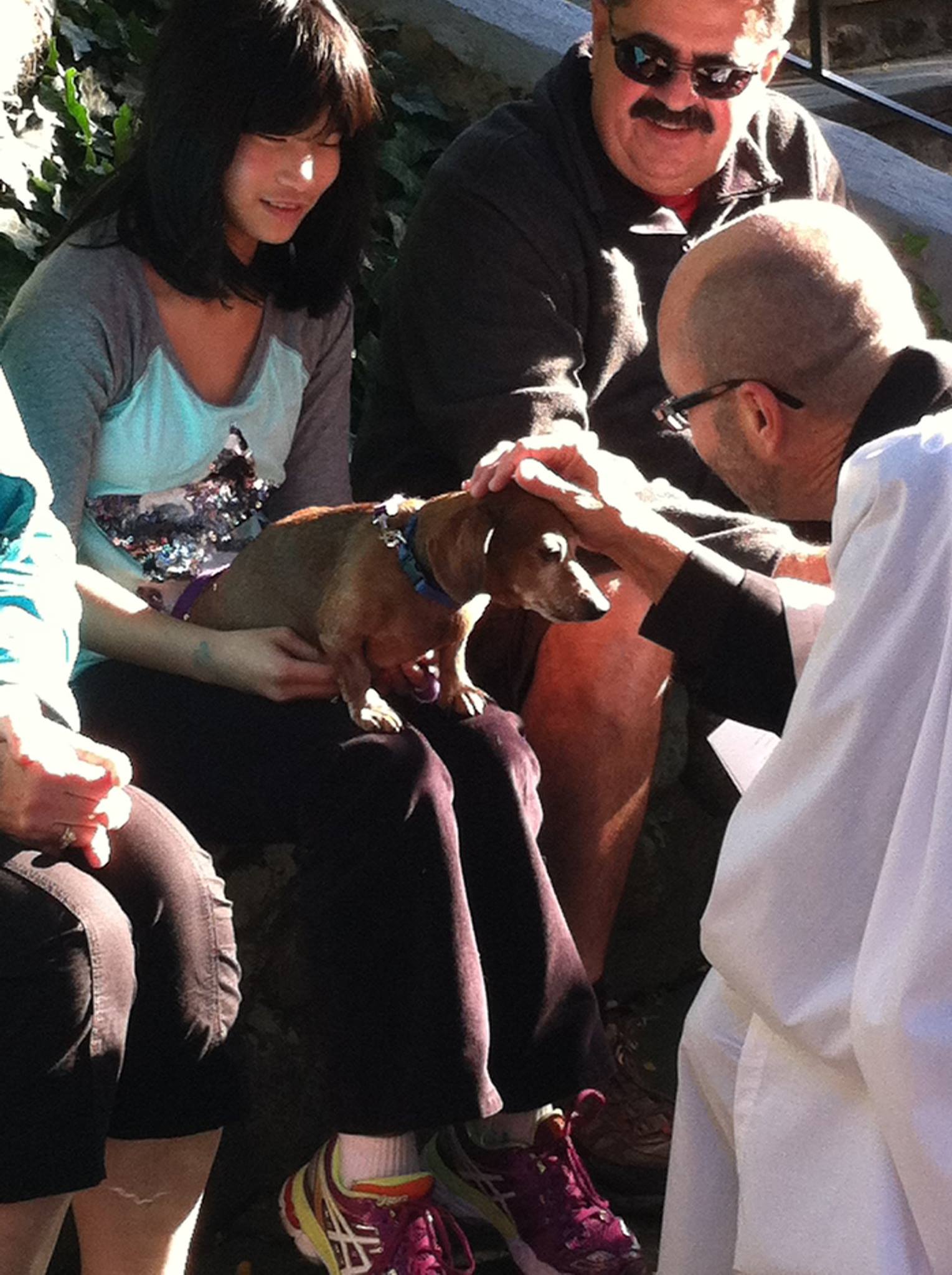 Blessing of the Animals