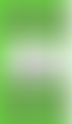 A MODA EM ESTADO DE OBSERVAÇÃO