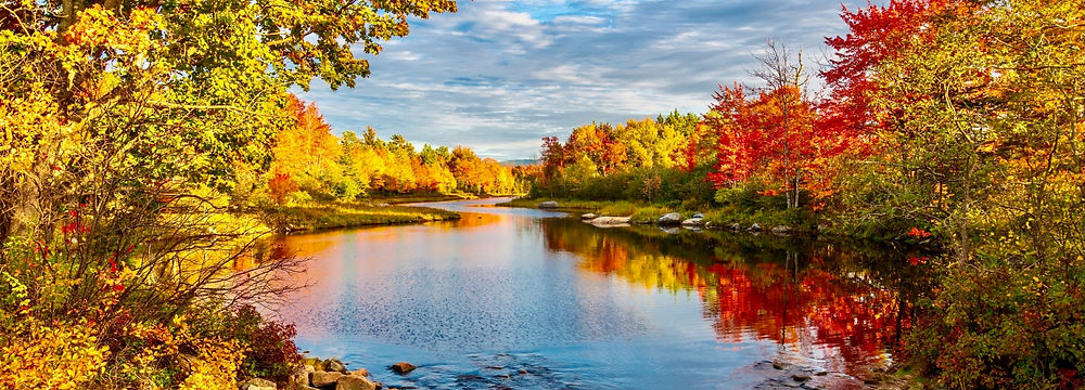 Autumn leaves brighten a tranquil stream.