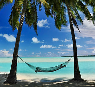 A tropical hammock overlooks a turquoise sea.