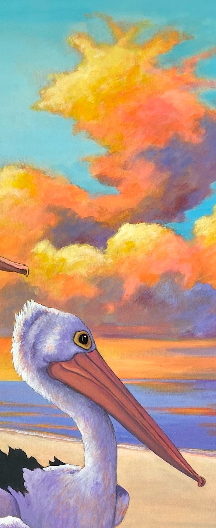 Thumbnail: PELICANS AT SUNSET BEACH