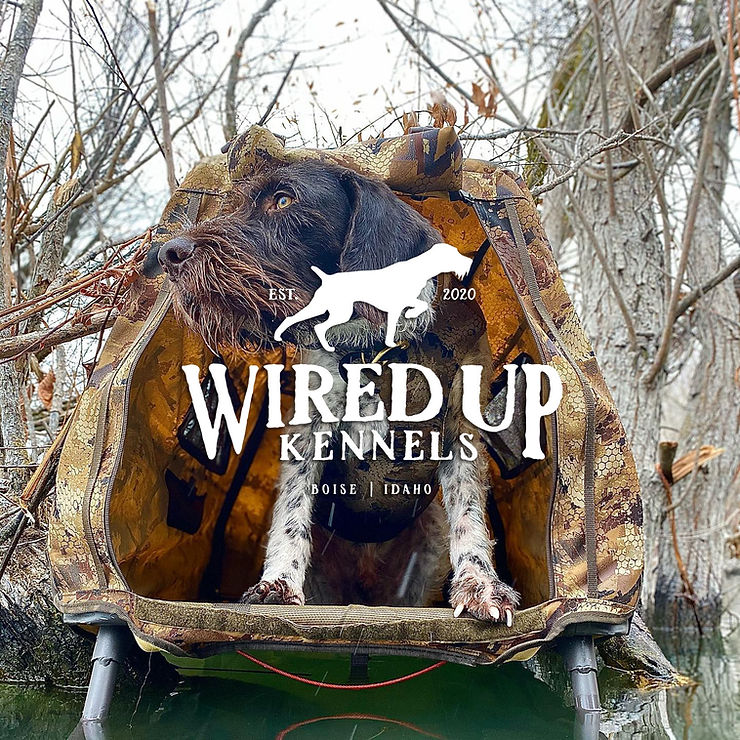 wiredup_Website photo.jpeg
