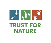 TFN LOGO.png