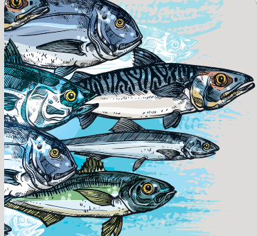 Sustainable Fishing Families - Health and wellbeing of Australian fishers 
