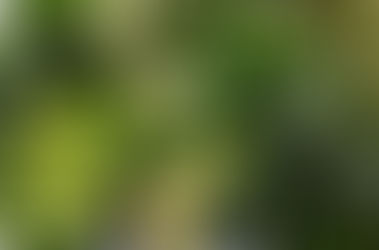 INTOXICATION AUX OXALATES : COMPRENDRE, DETECTER ET ACCOMPAGNER NATURELLEMENT