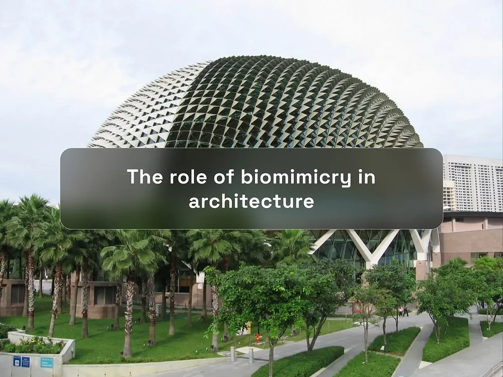 Mimic Building The role of biomimicry in architecture | Architecture Journal ...
