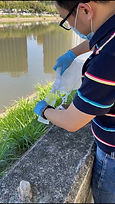 Water_sampling3.jpeg