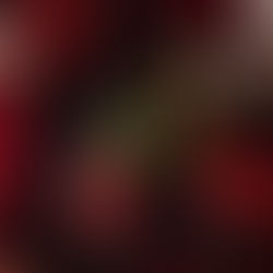 Uncle's Lucky 8 Hour 