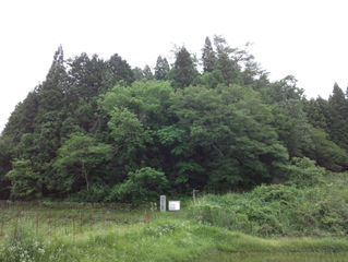 兵どもが夢の跡 ~小倉山城~