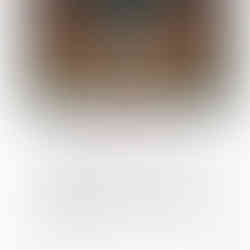 מסמך היסטורי של היידי קורנפלד