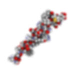Peptide Structure.