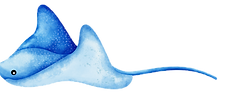 Stingray (FH)_edited.png