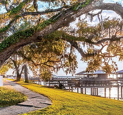 A serene coastal scene in Fairhope, Alabama, overlooking Mobile Bay. In the foreground stands a majestic oak tree adorned with Spanish moss, symbolizing strength and longevity.