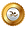 swim_edited_edited.png