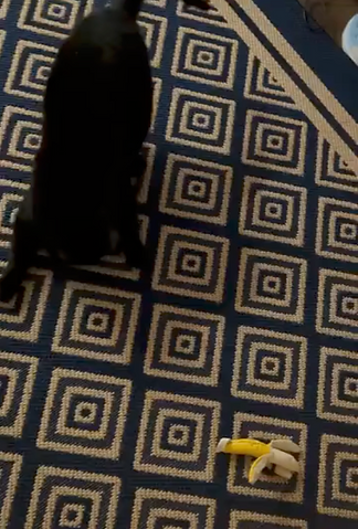 Capture d’écran, le 2026-05-24 à 10.33.40.png