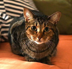 Lixy.jpg
