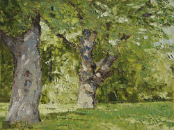 Дубы. Усадьба Голицыных