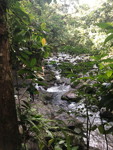 064127E5-418D-4BF9-982B-F65D600630D2.jpeg