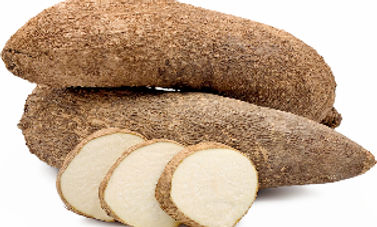 yam