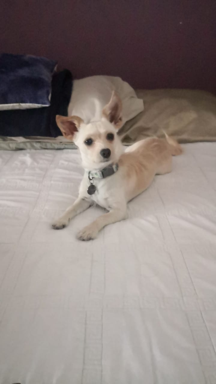 Luna