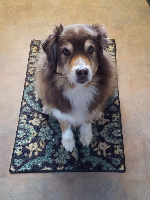 Karen Overall's Relaxation Protocol