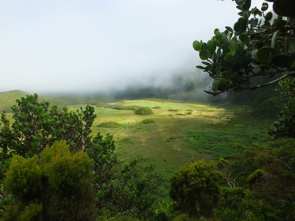 13906819_1743100839274581_7482045525240594715_n