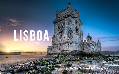 Visit Lisboa