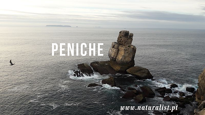 peninsula_peniche cabo .png