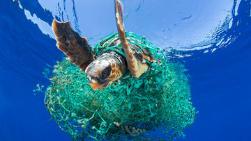 Lixo marinho flutuante costeiro | Coastal Floating Marine Litter