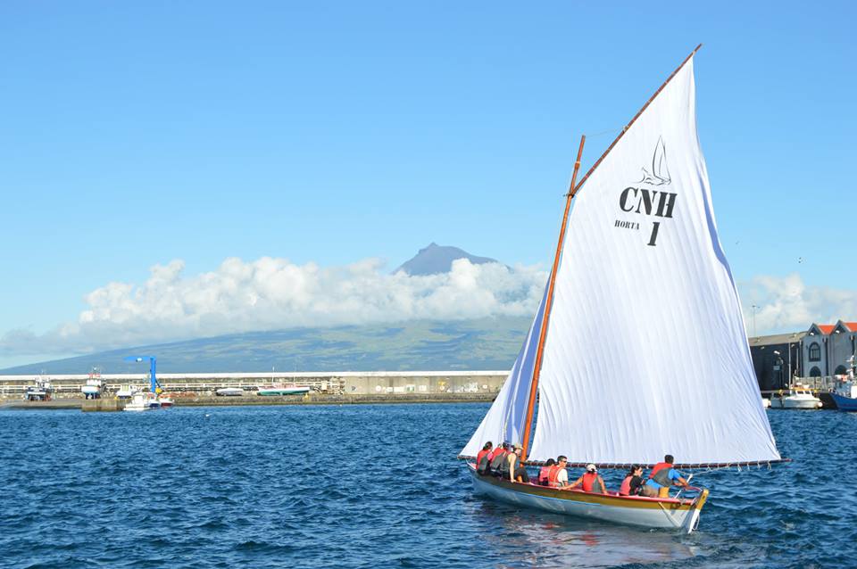 13690589_1733012033616795_8311304016100035863_n