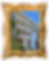 framed-octopis (4).png