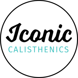 iconic logo circle colour.png