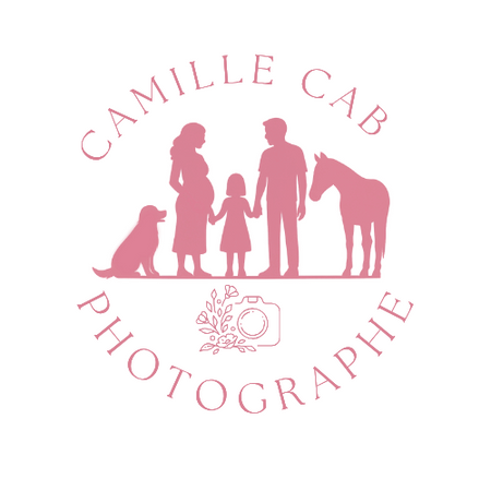 Ancien site Camille Cab, avant refonte